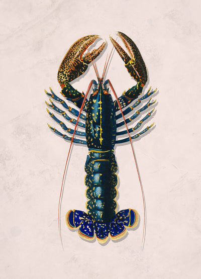 Lobster life pink - FLX Artworks