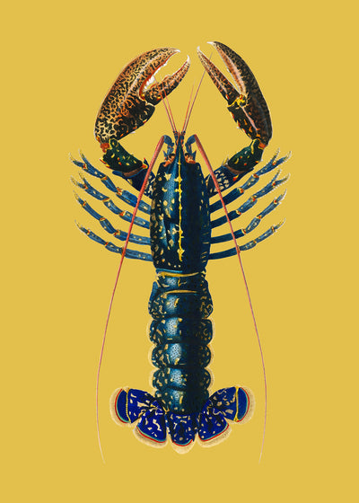 Lobster life yellow - FLX Artworks