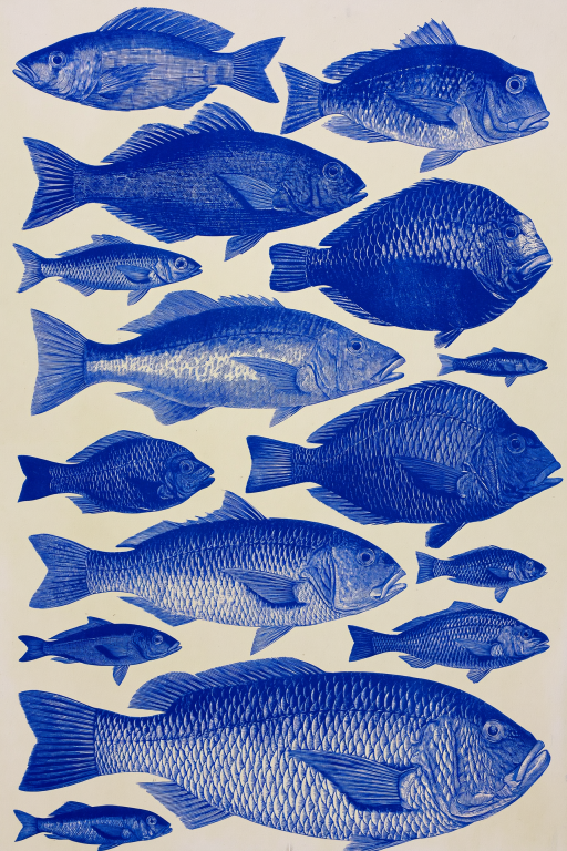 Cobalt Shoal