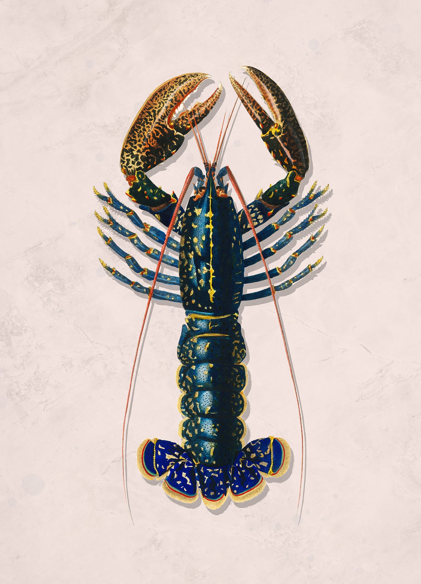 Lobster life pink - FLX Artworks