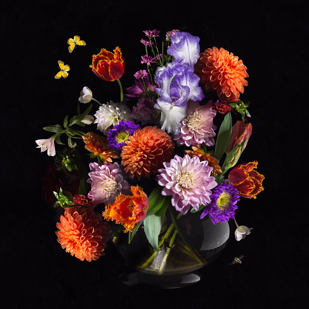 Royal Black - Sander van Laar