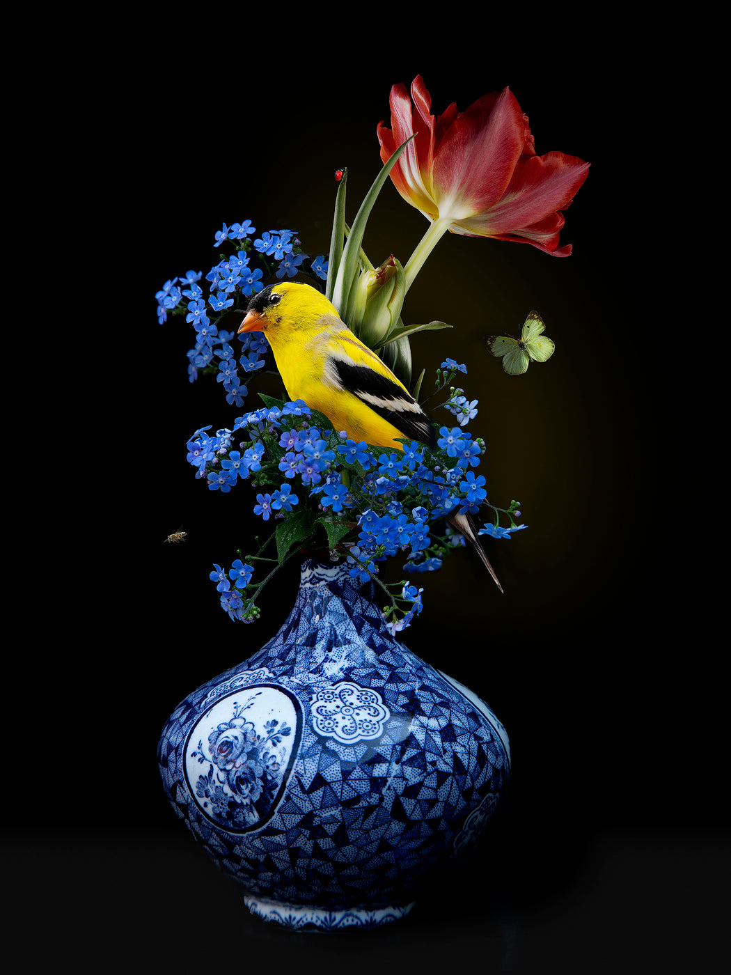 Royal Respect 3 - Sander van Laar