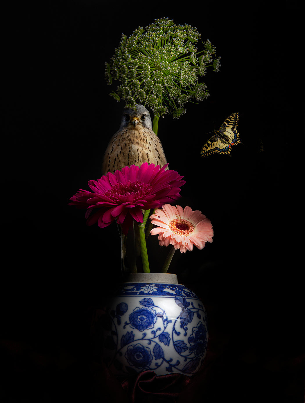 Royal Respect 4 - Sander van Laar