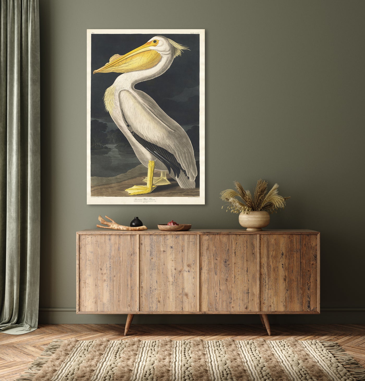 Amerikaans witte pelikaan - John James Audubon