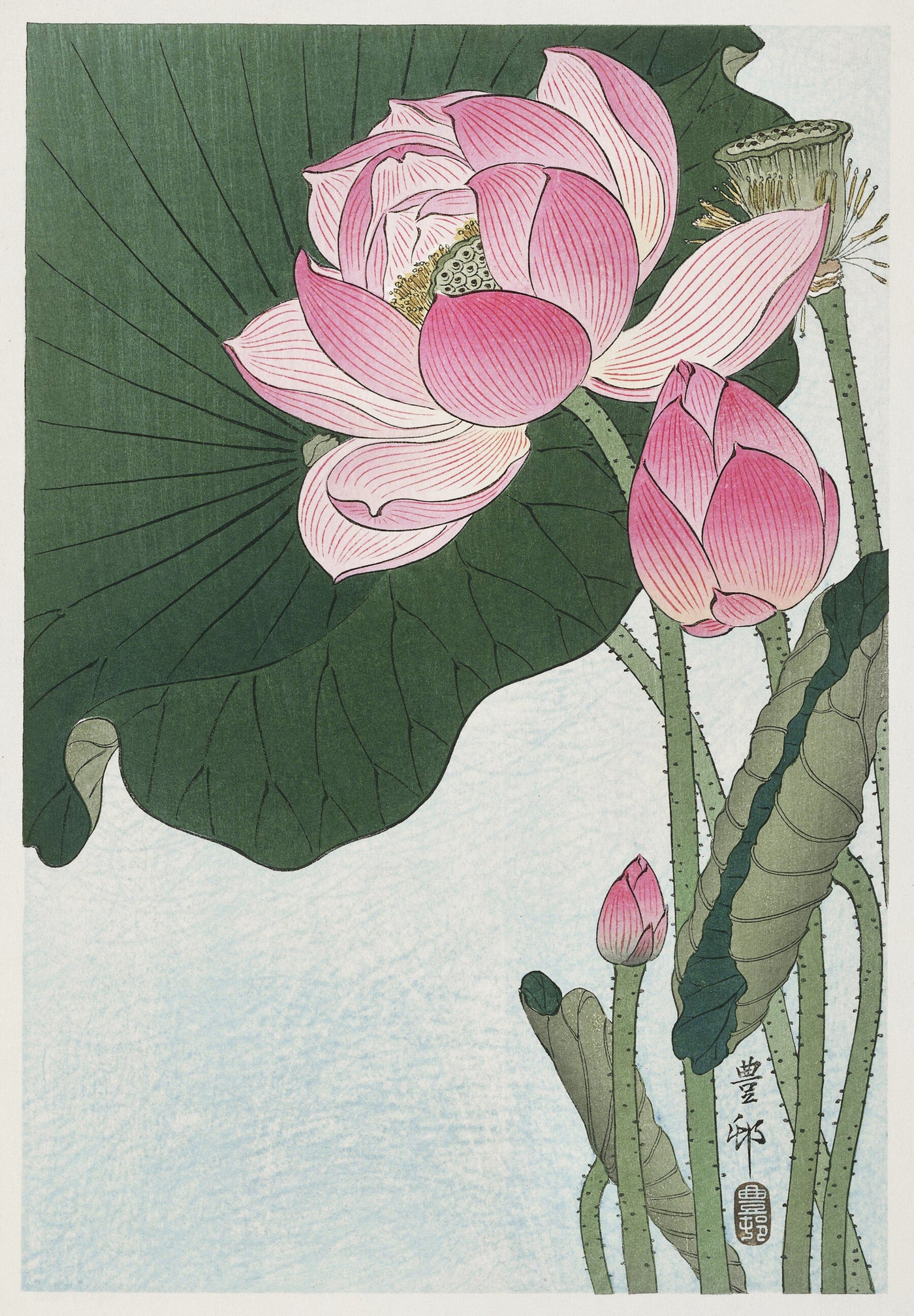 Bloeiende lotusbloemen - Ohara Koson