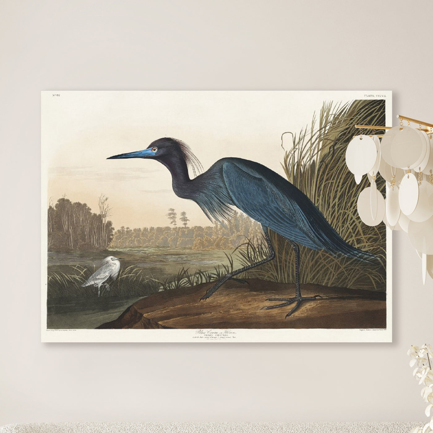 Blauwe kraanvogel of reiger - John James Audubon