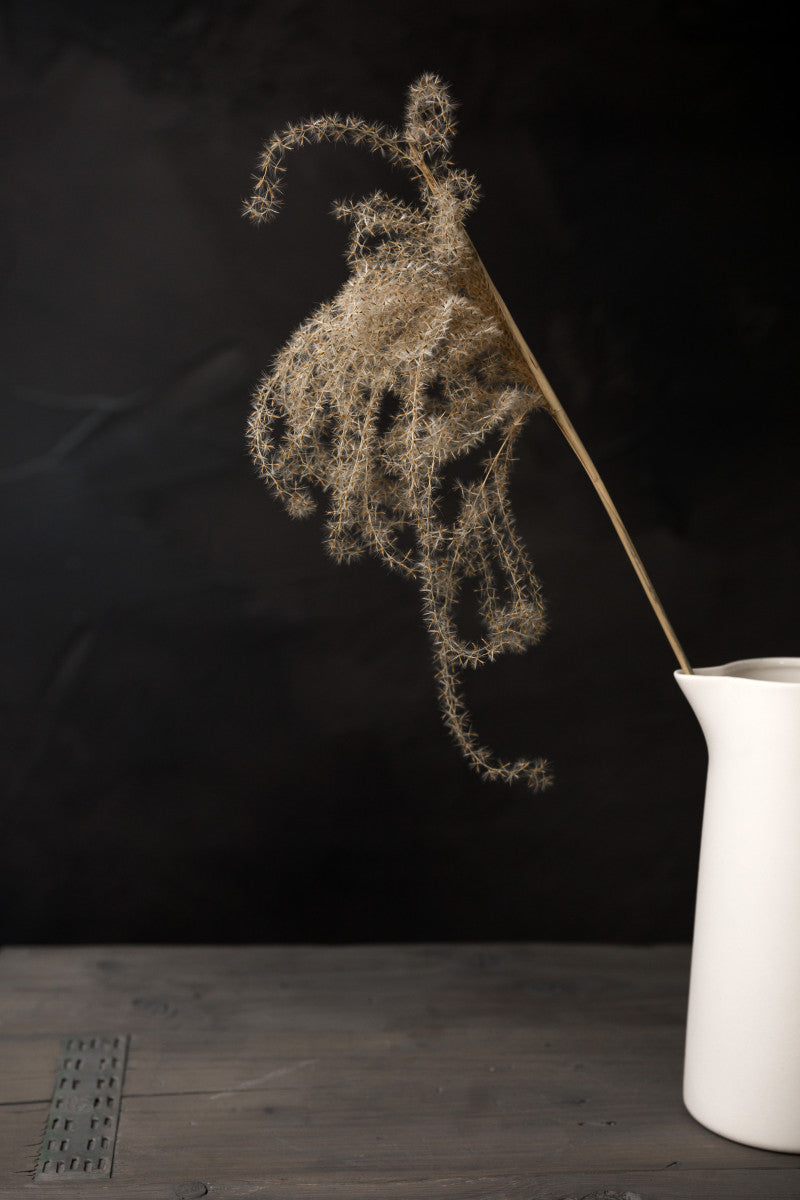 Donker stilleven met lichtval op rietpluim in witte kruik - Mayra Fotografie