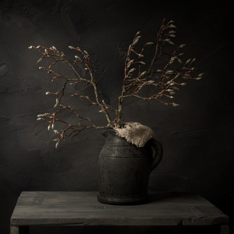 Donker stilleven met magnoliatak in grijze kruik - Mayra Fotografie