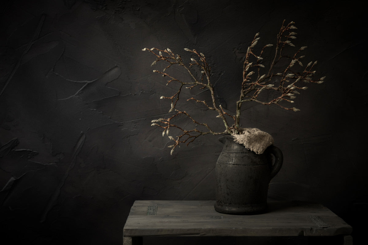 Donker stilleven met magnoliatak in grijze kruik - Mayra Fotografie