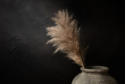 Donker stilleven met pampas pluimen in stenen kruik - Mayra Fotografie