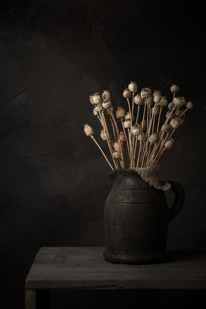 Donker stilleven met takken gedroogde papaverbollen in kruik - Mayra Fotografie