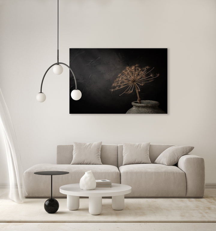 Donker stilleven met grote gedroogde berenklauw in stenen kruik - Mayra Fotografie