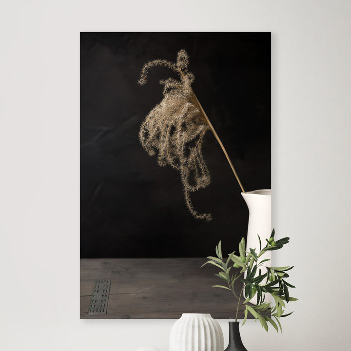 Donker stilleven met lichtval op rietpluim in witte kruik - Mayra Fotografie