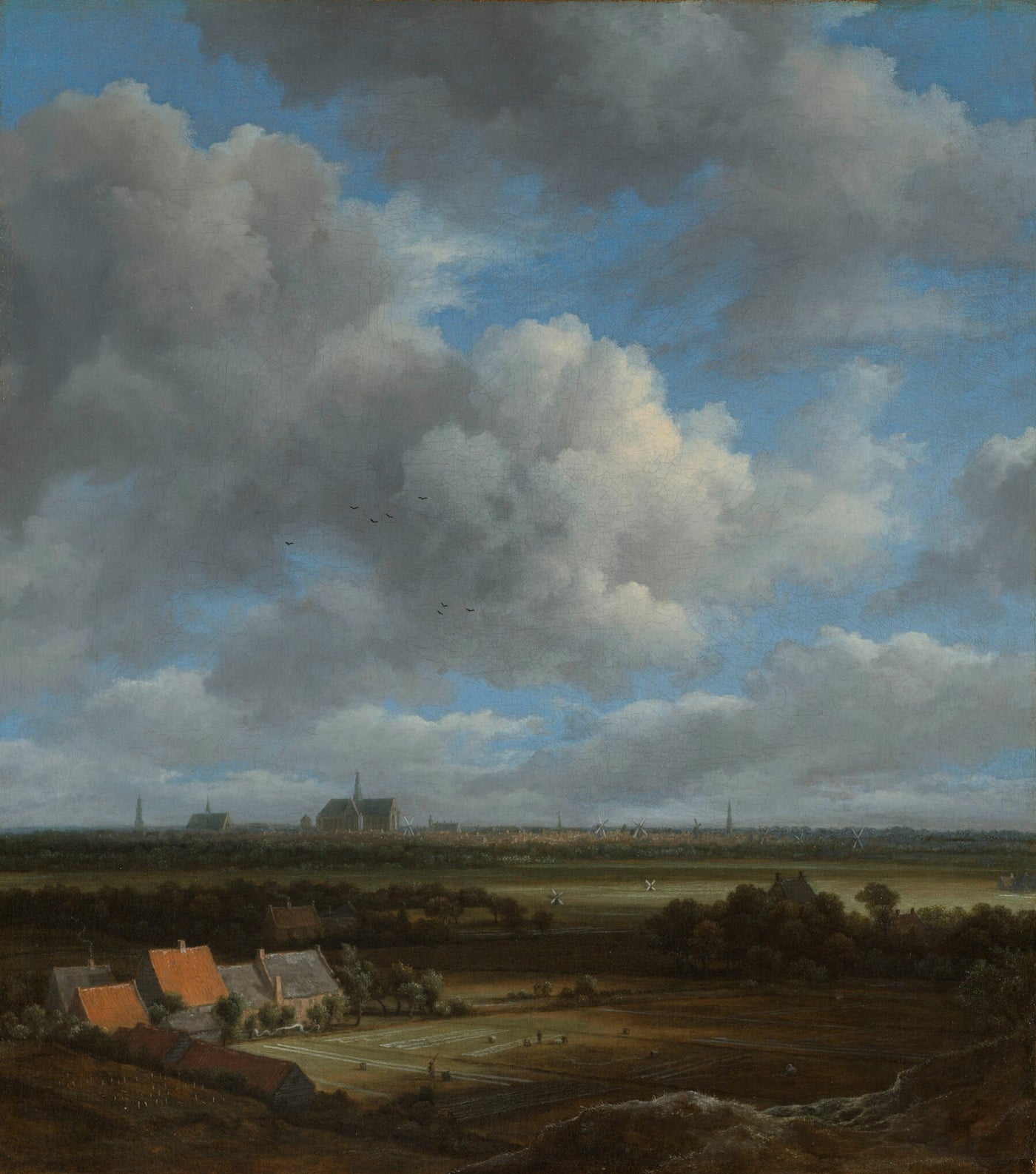 Gezicht op Haarlem uit het noordwesten - Jacob Isaacksz van Ruisdael