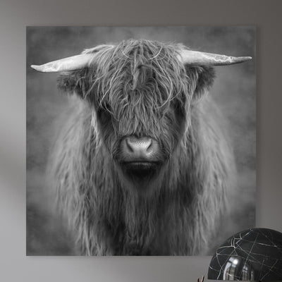 Highlander – Black& White Edition - Marja van den Hurk