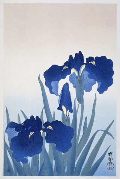 Irisbloemen  - Ohara Koson