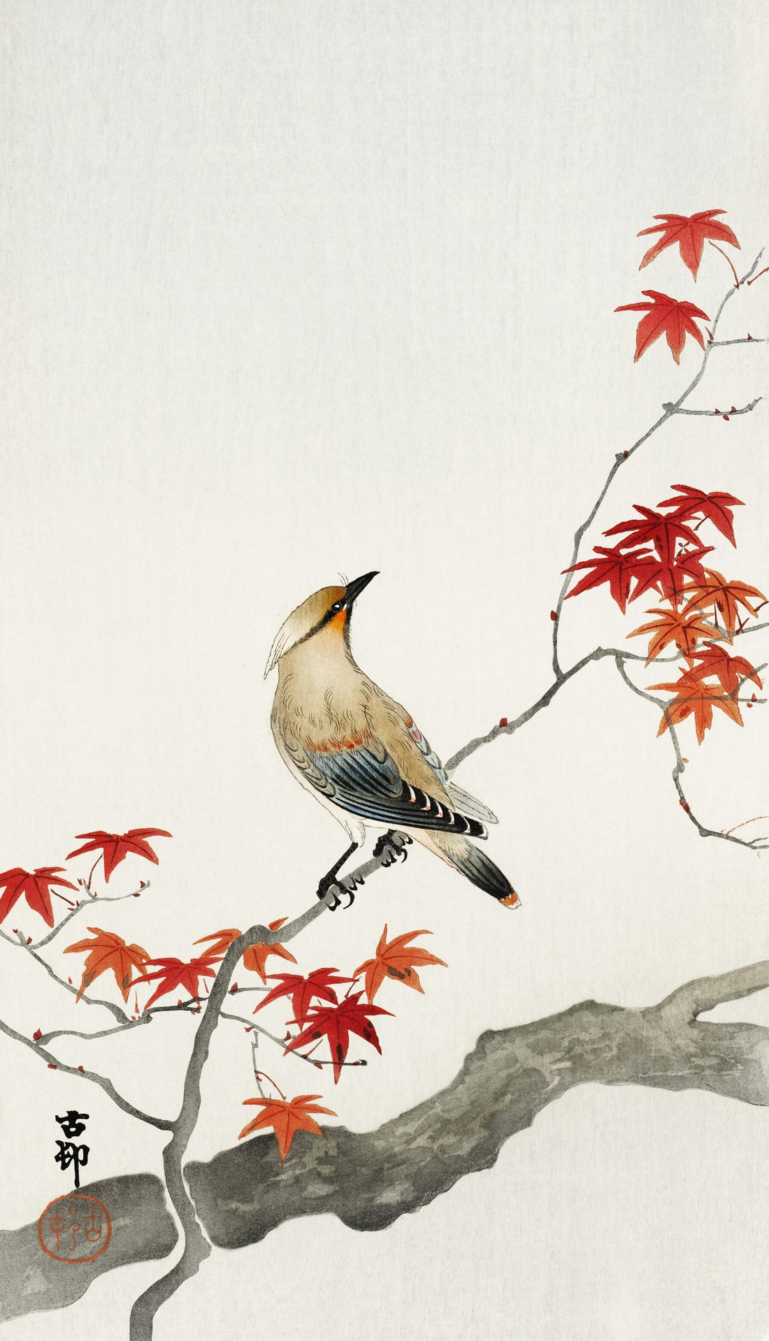 Japanse pestvogel op esdoorn - Ohara Koson