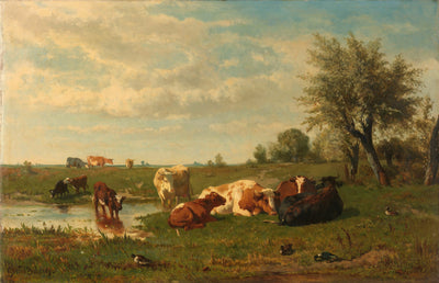 Koeien in de weide - Gerard Bilders