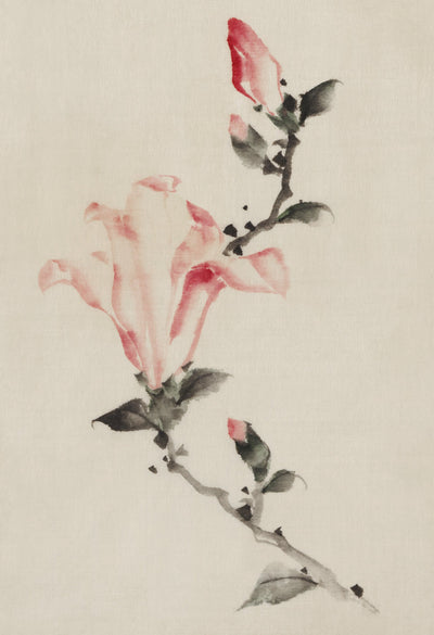 Grote roze bloesem - Katsushika Hokusai