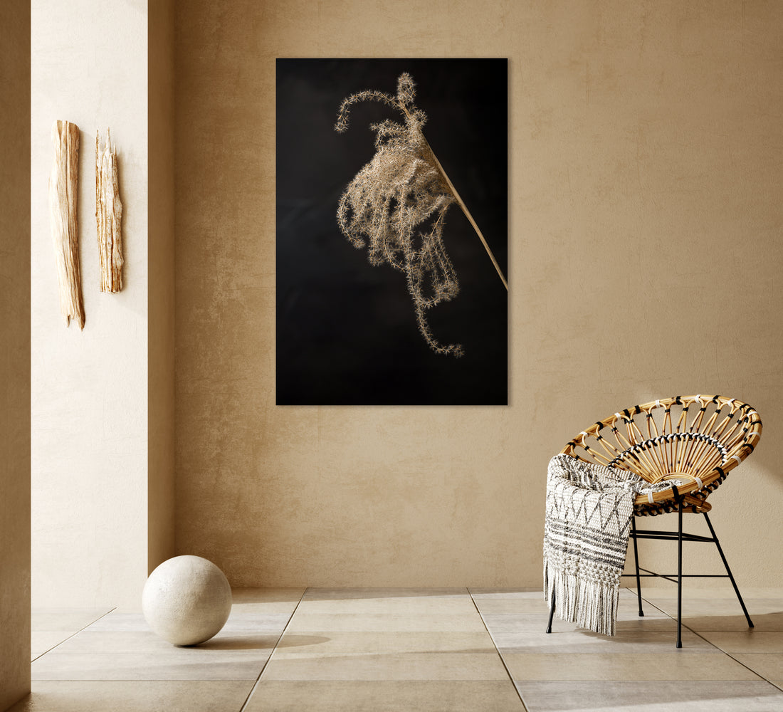 Lichtval op pluizige rietpluim - Mayra Fotografie