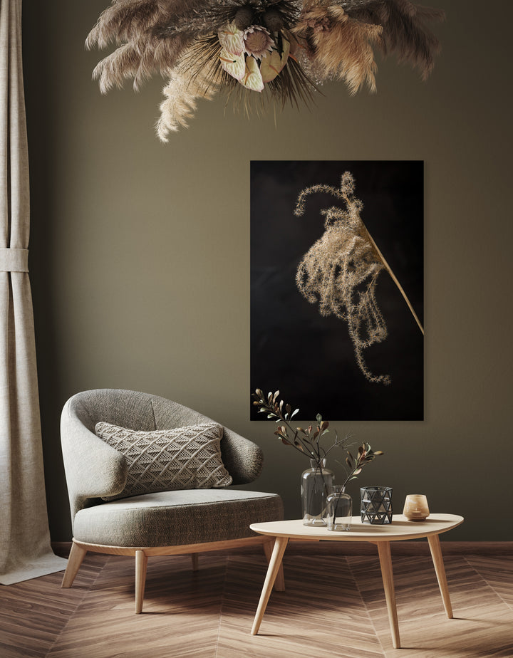 Lichtval op pluizige rietpluim - Mayra Fotografie