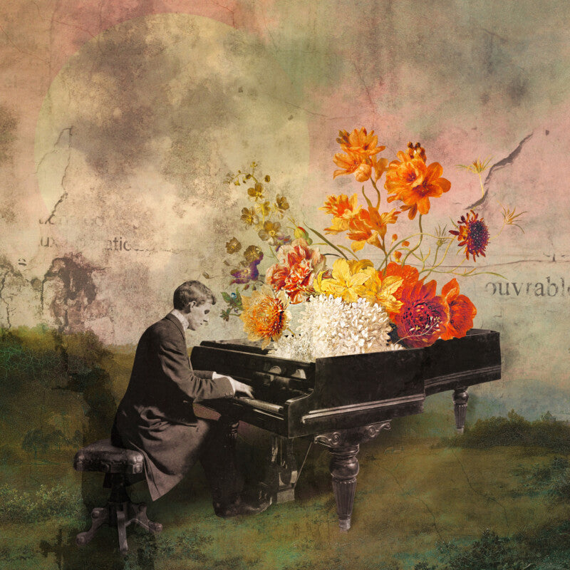 Midsummer Serenade  - Marja van den Hurk