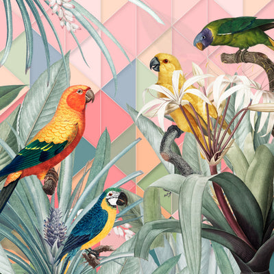 Parrots all over the Place - Marja van den Hurk