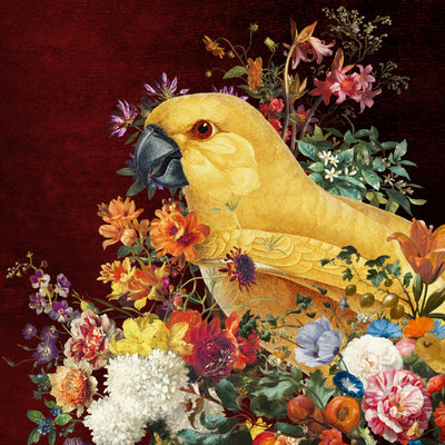 Pretty Parrot - Marja van den Hurk