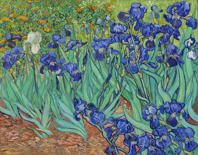 Irissen - Vincent van Gogh