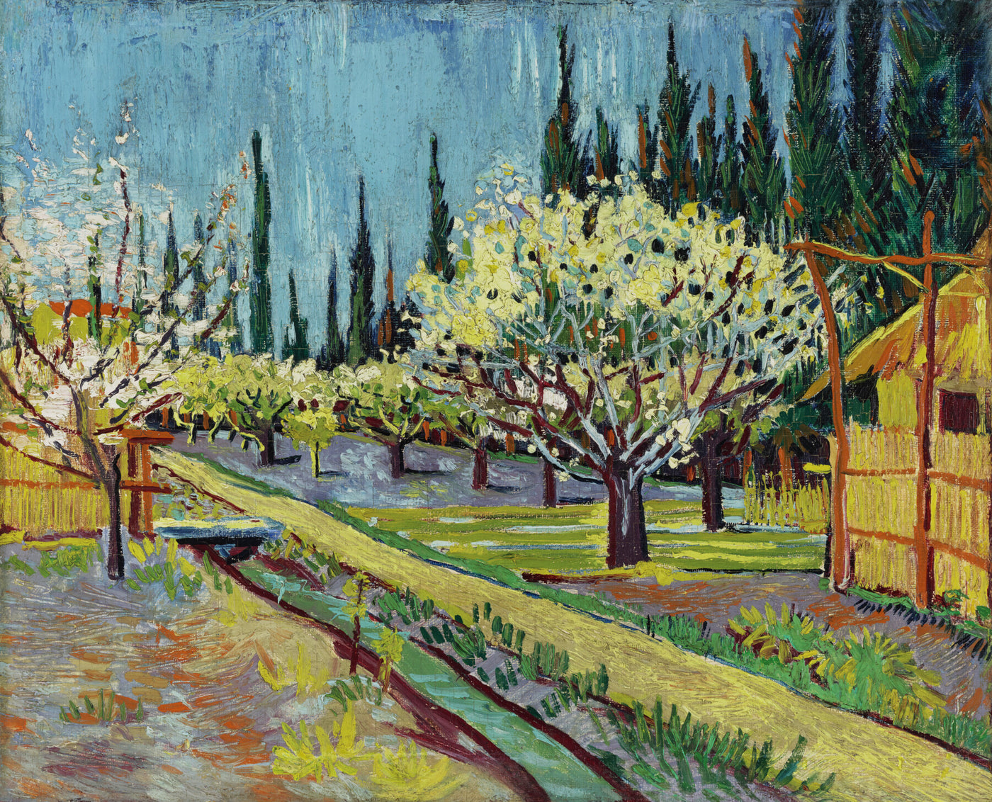 Boomgaard omgeven door ciprissen - Vincent van Gogh