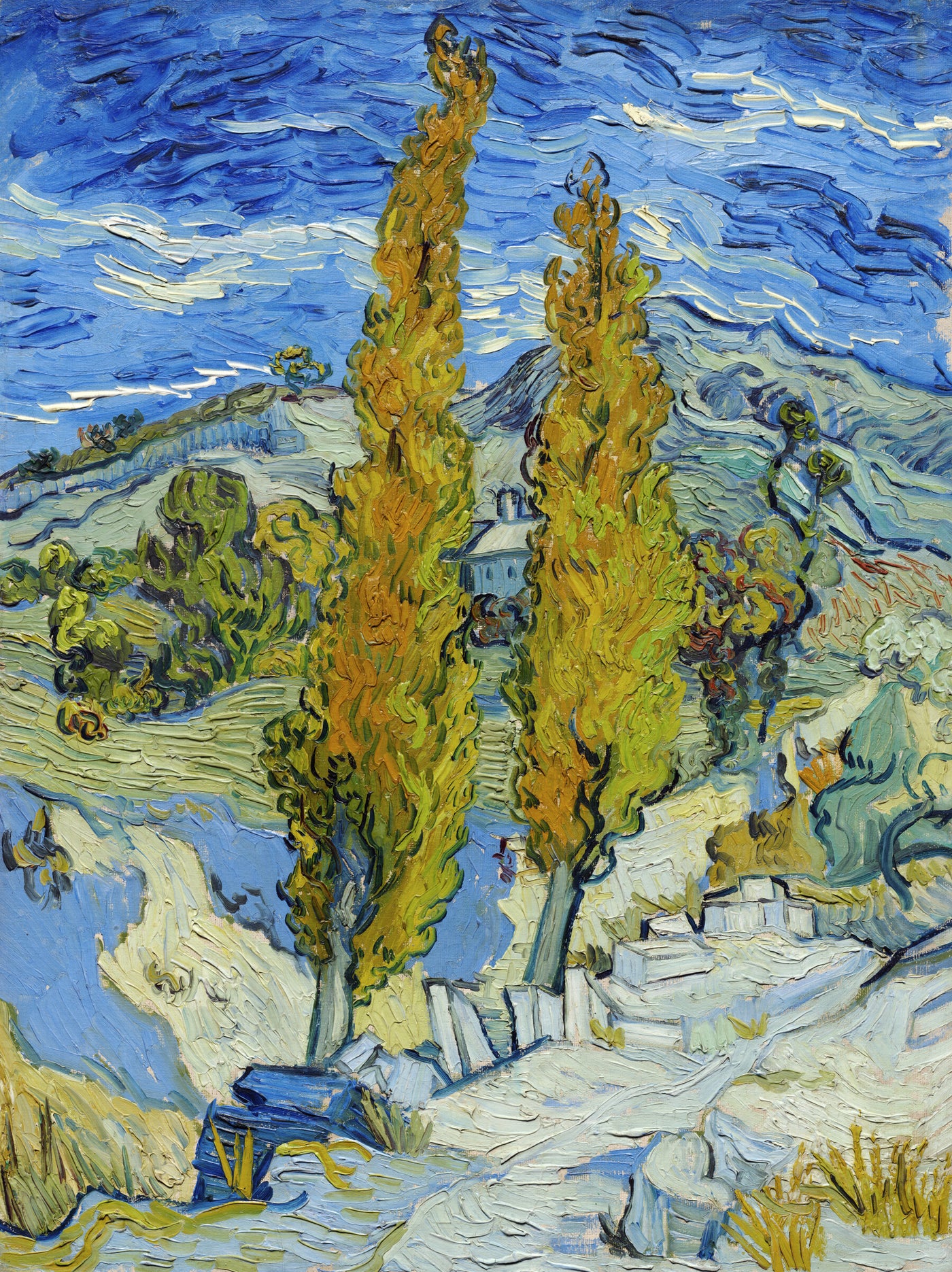 De populieren bij Saint-Remy - Vincent van Gogh