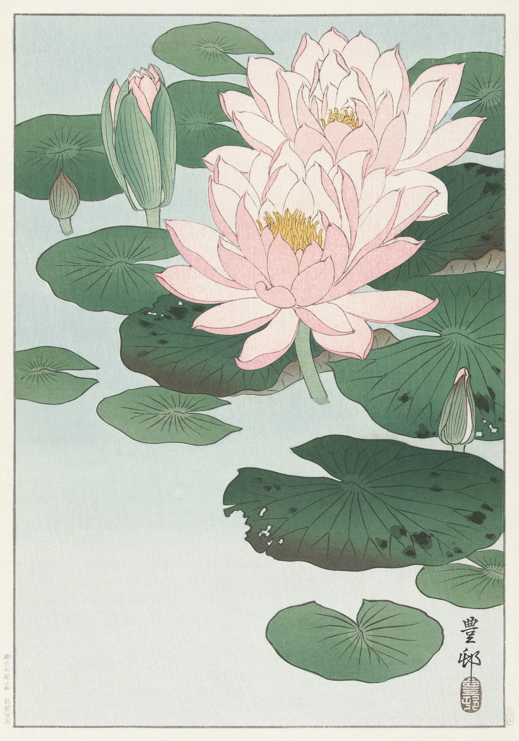 Waterlelie - Ohara Koson