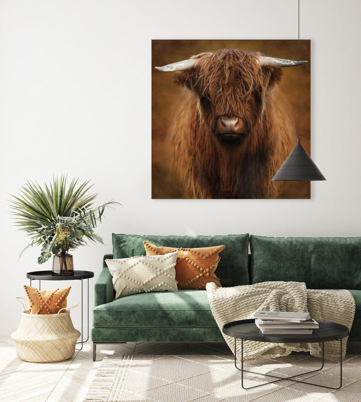 Highlander  - Marja van den Hurk