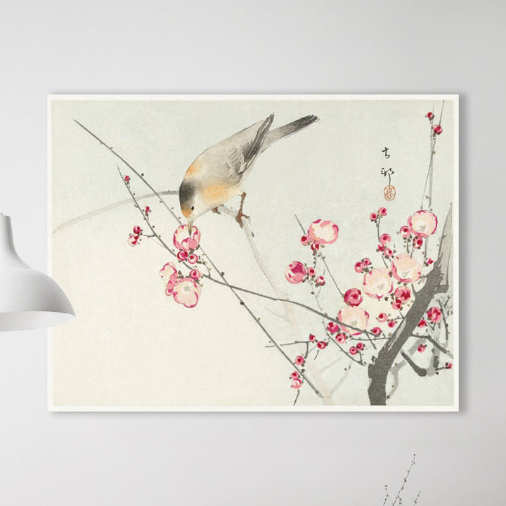 Zangvogel op bloesemtak - Ohara Koson